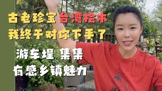 我终于对台湾的桧木下手了！台湾乡镇隐藏着无限宝藏 有历史 有文化 有美景 有人情 台湾最美的火车站车埕  集集观光有感