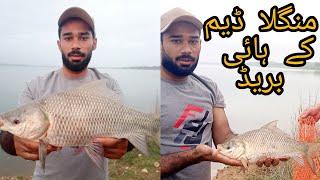 New Update Mangla Dam Highbread Fish Hunting | Muhammad Saad