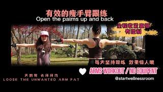 arms workout|手臂塑形｜美肩美背｜核心训练｜居家跟练｜无工具运动｜打造一字肩｜安全有效｜减肥