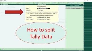 How to split Tally  Data II Tally Data को कैसे Split करें II