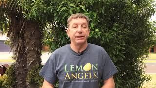 Lemon Angels Introduction