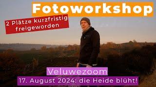 Fotoworkshop 17.08.2024 Veluwezoom | Landschaftsfotografie | wieder 2 freie Plätze