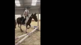 I recommend Equine Izzy! This is a vid of her riding!! She is so amazing!!!! #horse #equestrian