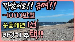 [최종 급매]해변 바로 앞 1선 영구 조망의 값 싼 바닷가 집 바닷가 주택 매매 바닷가 주택 급매 바닷가 집 매물 바닷가 급매