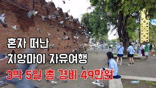 [태국] 아재 혼자 49만원으로 다녀온 치앙마이 3박 5일 자유여행