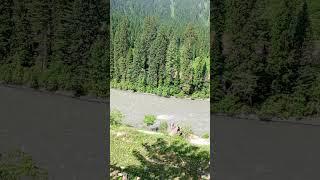 https://youtube.com/shorts/O2fZh02eiOM?si=fvCUt2dXTHx2_fpc