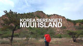 무의도 백패킹 ㅣ Korea Serengeti Muuido Backpacking