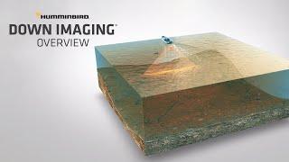 What is Down Imaging and How to Read It | Humminbird