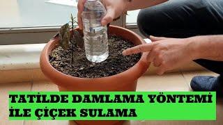 Çiçekleri Damlaya Yöntemi ile Sulama     (Tatilde evdeki çiçekleri sulama)