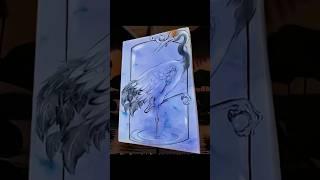 莹佳翡翠 #翡翠戒面 #翡翠直播 #实物欣赏 #缘眼拥有 #莹佳翡翠