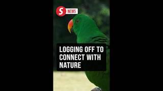 Disconnect to reconnect for a day