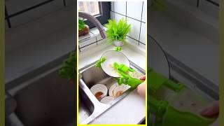 Top 5 Daily Amazon Finds #smartfind #amazonmusthave #products #gadgets #homegadgets #tyshorts