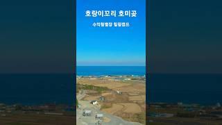 호랑이꼬리 호미곶 힐링캠프 #강산부동산tv