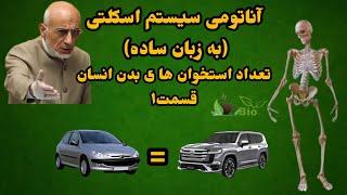 استخوان (آناتومی سیستم اسکلتی به زبان ساده) تعداد استخوان های بدن انسان بالغ. قسمت1