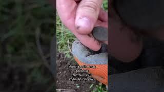 Монета, якій понад 100 років: австрійський крейцер 1912 року. #metaldetecting #коп #coin #rek