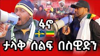 Amhara voice  Sweden Stockholm stop Amhara genocide Nov 16 | ashruka channel