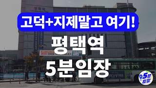 평택역 임장  고덕, 지제만 있다? ㅣ 오히려 최고 가성비는 평택역에 있다! GTX-A, C와 생태공원, 복합문화광장, 재건축, 신축분양까지 종합 패키지!