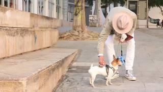 Macba Life x Transworld Skateboarding #4