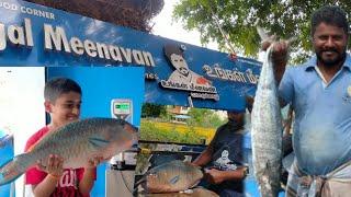 Ungal Meenavan shop in Karaikudi | Big size Parrot Fish Cutting | கிளி மீன் @AnuYuvan