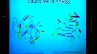 TCBG Summer School 2003: Bioinformatics of Proteins - Sequence and Structure Alignment Algorithms