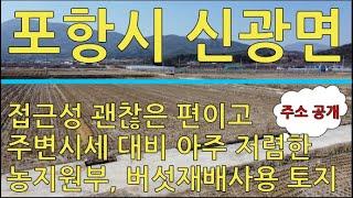 포항시 북구 신광면 저렴한 토지 대토 및 농지원부용 토지 매매