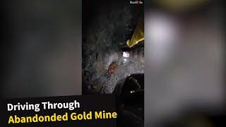 Explorers DRIVE into abandoned Canadian gold mine!