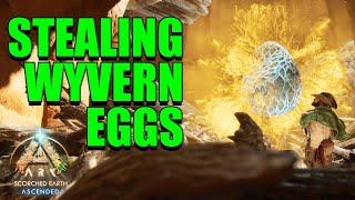 Stealing Wyvern Eggs | ARK: Scorched Earth Ascended (Part 9)