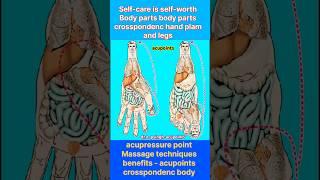 body parts body parts | crosspondenc hand plam and legs #acupressurepoints #acupoints #motivation