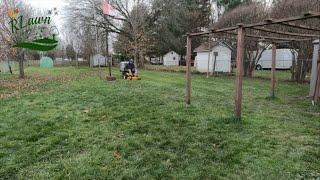 Lush Green Stripes Late Nov. Over Grown lawn & Fall Clean up