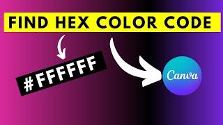 نحوه یافتن کد رنگ HEX یک تصویر با استفاده از Canva - آموزش Canva