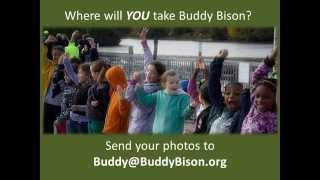 Where are YOU taking Buddy Bison?