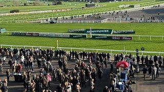 An Honest Day Punting - Cheltenham Friday - Part 1 