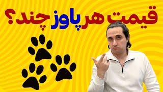 قیمت هر توکن پاوز چقدره؟ PAWS