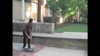 dtc brandon