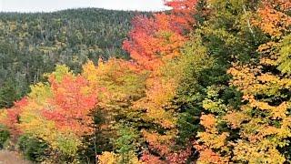 Kancamagus Highway New Hampshire Leaf Peeper Report 2022