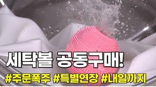 (공동구매 종료! 감사합니다) 알뜰파파X빨래박사 세탁볼 공구｜삶의질 수직 상승템 ｜품절 전 구매 필수