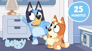 Time for More Bluey Adventures!   | Bluey