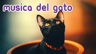 Música Magica para Gatos - Relájese y Calme a su Felino al Instante