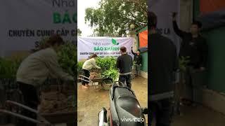 Siêu phẩm mới chuẩn bị xuất hiện tại Nhà vườn Bảo Khánh | #Shorts