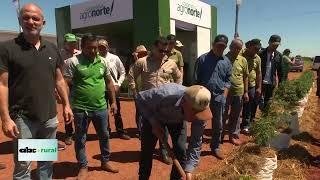 Cooperativa Agronorte apuesta al cañamo industrial