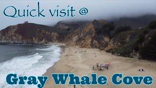 Gray Whale Cove || Pacifica, California