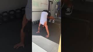 Elevated Pike Press