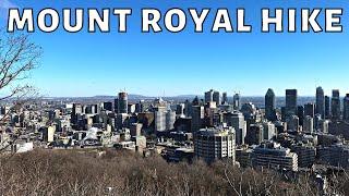 This Mountain Gave Montreal it's Name : Hiking Mount Royal in December 2022