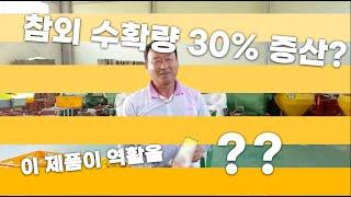 참외 수확량이 무려 30%???특급 비법! 귀농 귀촌 잘자람 바이오미네랄 후기