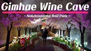 김해 낙동강 레일 파크 간 후기. 열차 카페+와인 동굴편(Gimhae Wine Tunnel)