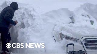 Buffalo Bills players dig out cars buried in snow