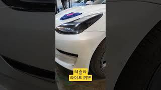 테슬라 라이트 보호 PPF #랩핑 #보헤미안퍼포먼스 #ppf #튜닝 #ppf교육 #car #tesla #vinylwrap