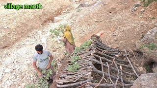 Nomadic life Nomad family building a house for puppies and putting leaves on the house to cool down