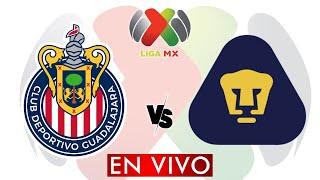 GUADALAJARA VS PUMAS EN VIVO - LIGA MX APERTURA 2024 - JORNADA 15 -  DONDE VER EN VIVO