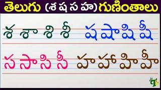 శ ష స హ గుణింతాలు | Se Sha Sa Ha guninthalu | How to write Telugu guninthalu @TeluguVanam ​